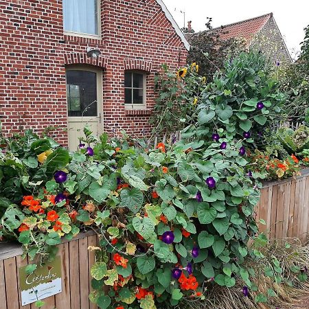 Willa Les Jardins D'Olus Wandignies-Hamage Zewnętrze zdjęcie