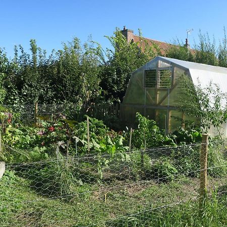 Willa Les Jardins D'Olus Wandignies-Hamage Zewnętrze zdjęcie